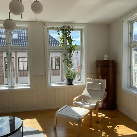 Cozy And Light Apartment. Apartment